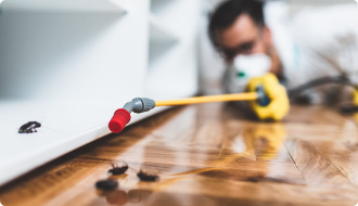 Cockroach Extermination